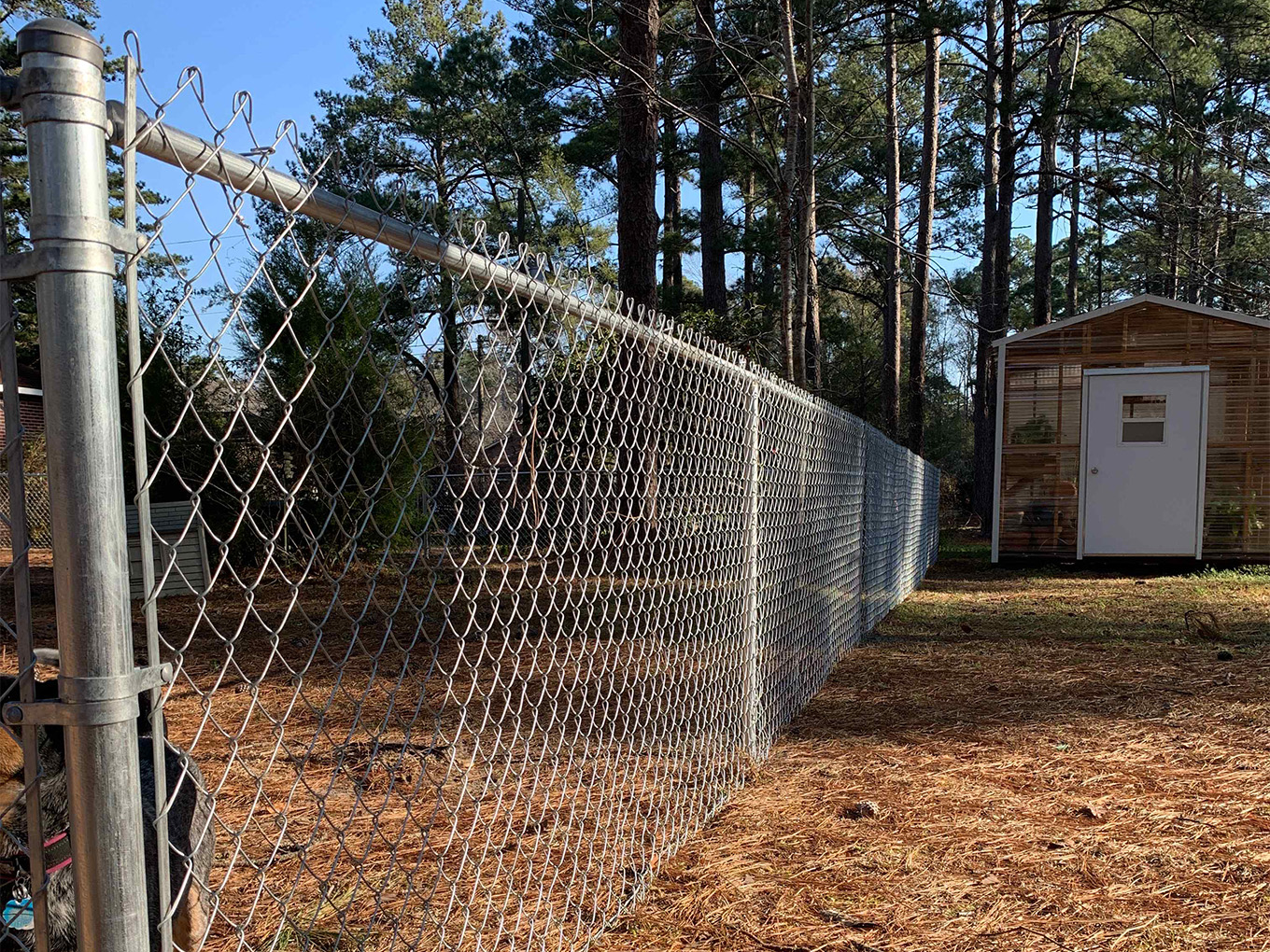 Bloomingdale Georgia DIY Fence Installation