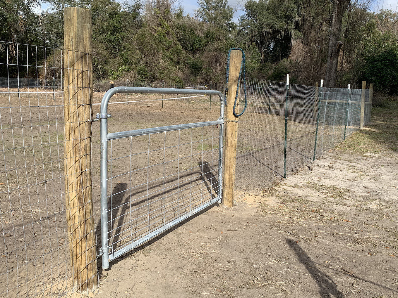 Farm Fence in Savannah, Georgia