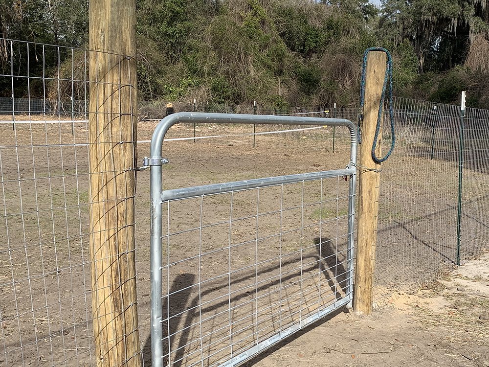 Farm Fence in Savannah, Georgia